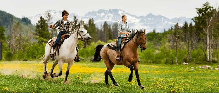 Confident plus-size woman riding Bordesley a horse through a field with a smile on her face.